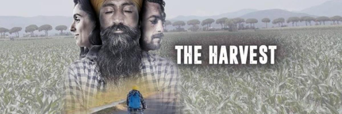 The Harvest: il docufilm a Concesio